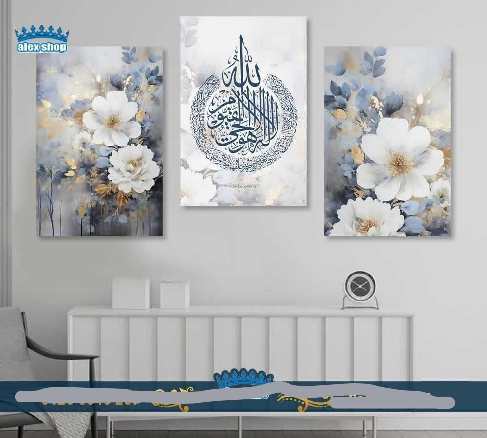 set of 3 wall art any 1